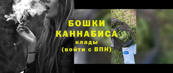 индика Куйбышев