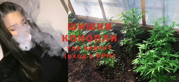 индика Куйбышев