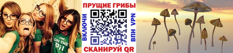 Псилоцибиновые грибы мицелий  Сухой Лог 