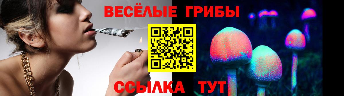 Сухой Лог  Псилоцибиновые грибы GOLDEN TEACHER  Галлюциногенные грибы GOLDEN TEACHER  Вход с VPN 